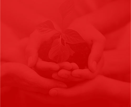 武漢網(wǎng)絡公司贊多多